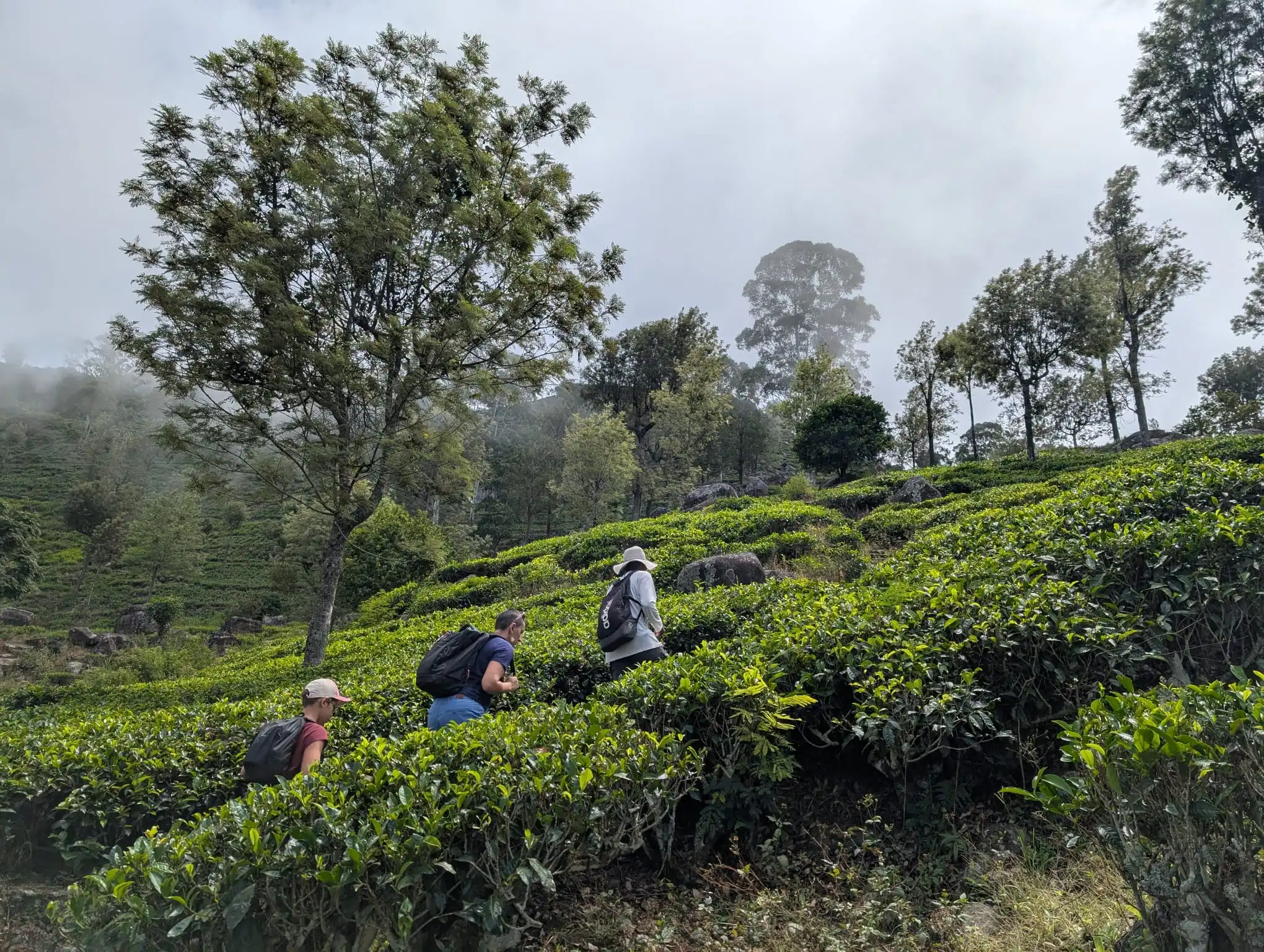 Pourquoi l’ikigai peut se révéler à travers l’exploration