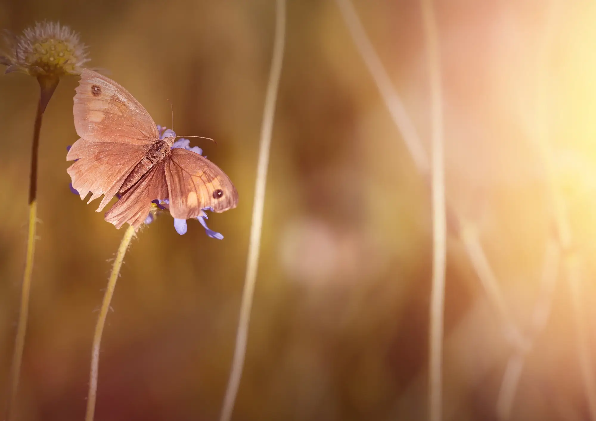 La vie est un voyage continu