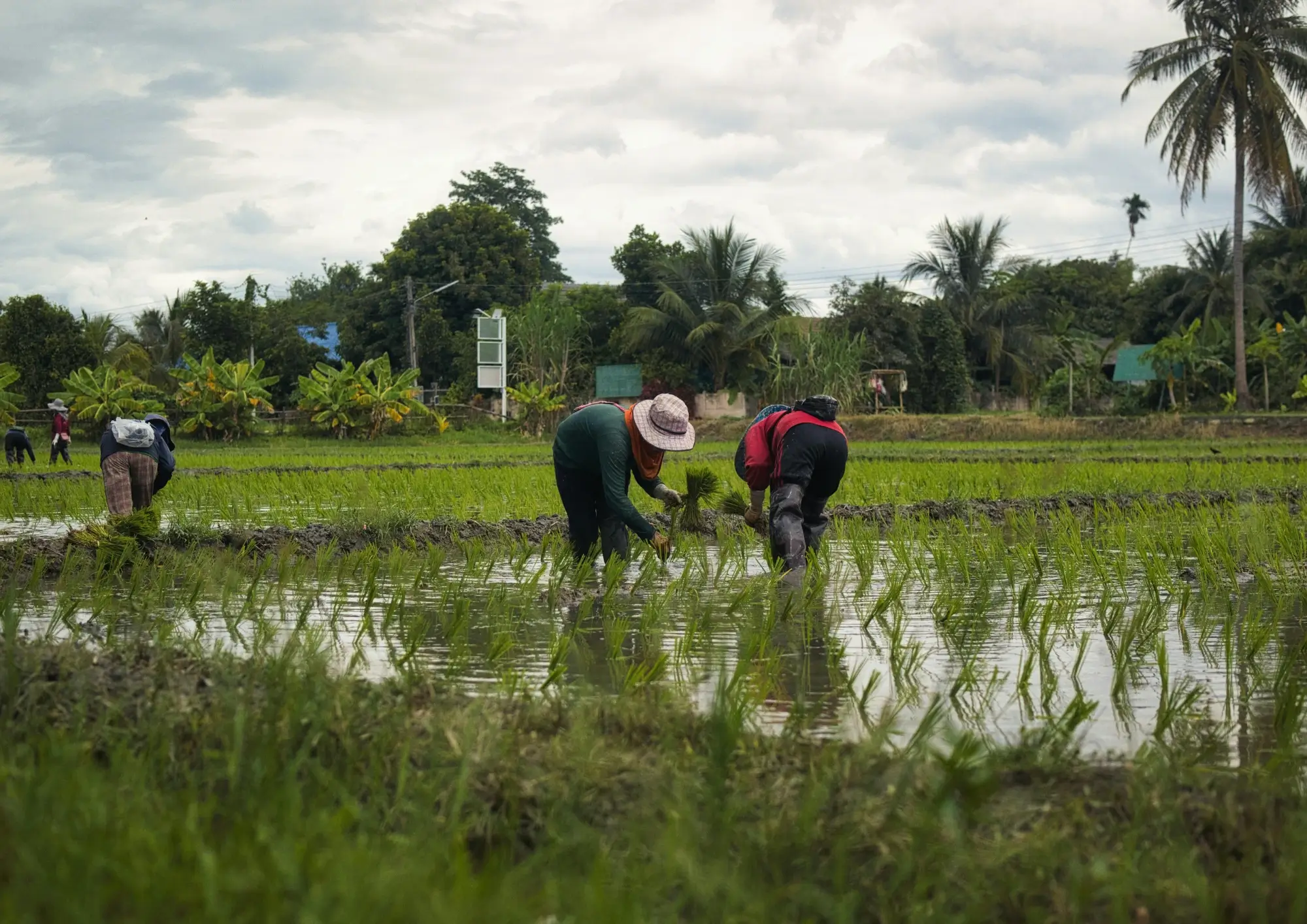 Les Enseignements du chemin - Au-delà des kilomètres