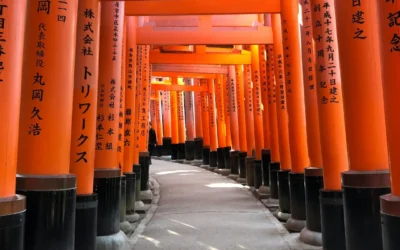 Changer de décor pour changer de perspective : L’impact du voyage sur nos Certitudes