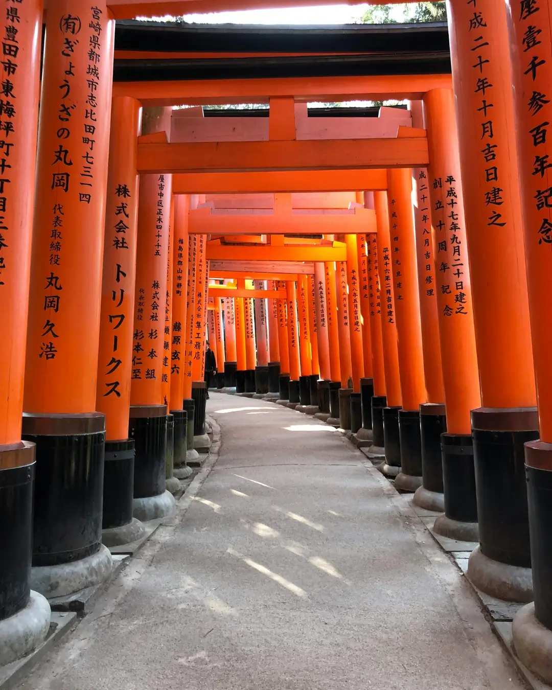 photo header Changer de décor pour changer de perspective L’impact du voyage sur nos Certitudes